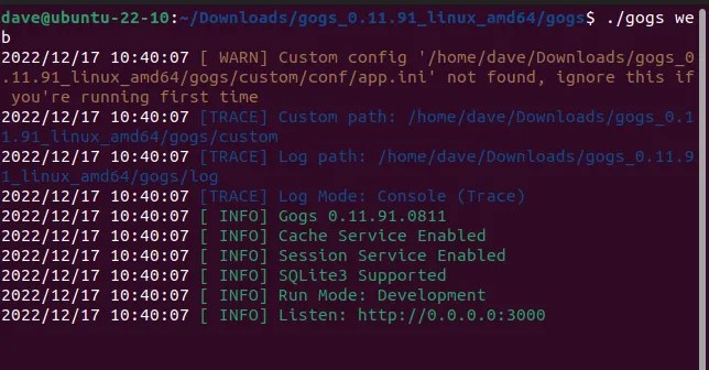 Starting the gogs Git server