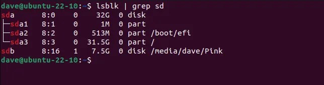 Using grep to search for lines with sd in them, in the output of the lsblk command