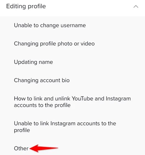 Select Editing Profile &gt; Other.