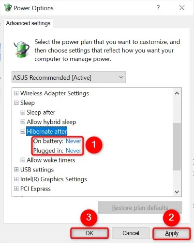 Disable hibernation and select &ldquo;Apply&rdquo; and &ldquo;OK.&quot;