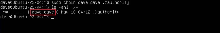 Changing the ownership of the .Xauthority file