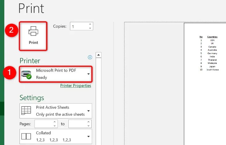 Adjust print options and click &ldquo;Print.&quot;