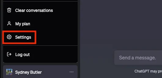 GPT Beta Features Settings Button