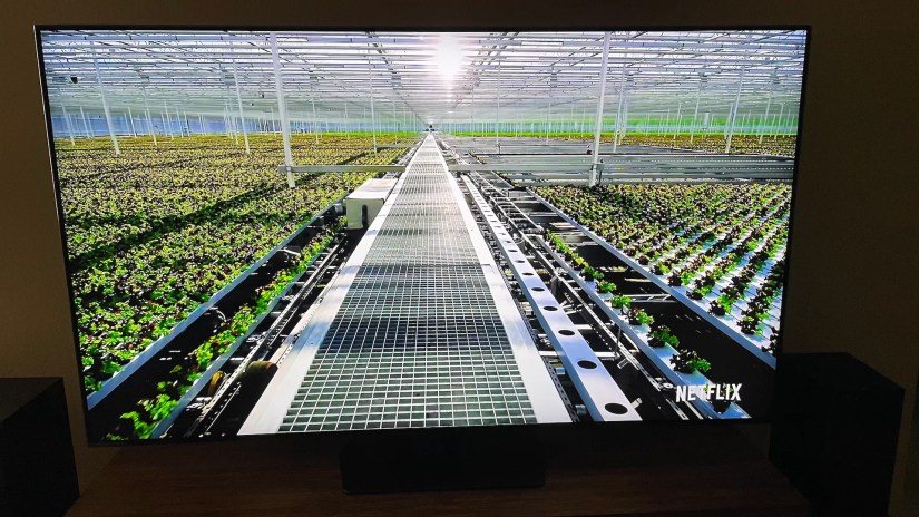 The inside of a greenhouse on the Samsung 55-inch QN90C.