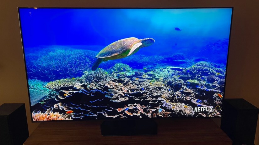 A shot of a swimming turtle on the Samsung 55-inch QN90C.
