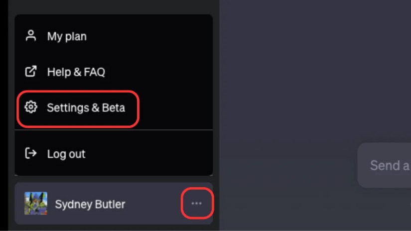 ChatGPT Settings and Beta option