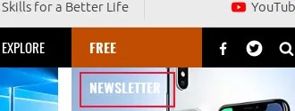 The &ldquo;Free Newsletter&rdquo; block displayed in GNOME Web with the word &ldquo;Newsletter&rdquo; visible