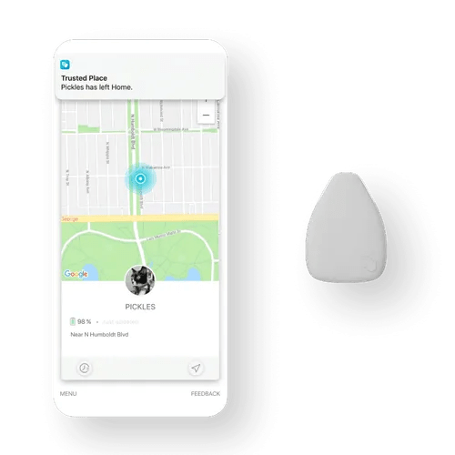 The Best GPS Dog Trackers of 2024