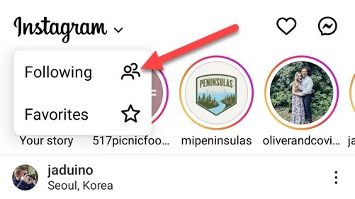 Select the &ldquo;Following&rdquo; tab.