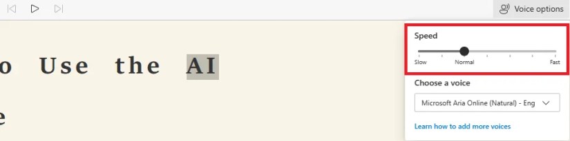 Screenshot of the Read Aloud speed options