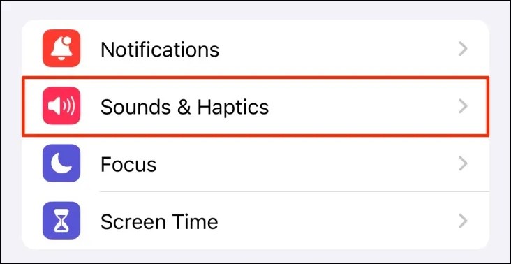 Sounds &amp; Haptics option in iPhone settings.