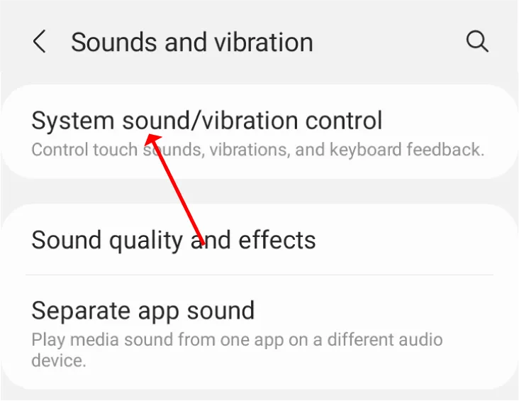 The system sound/vibration control option.