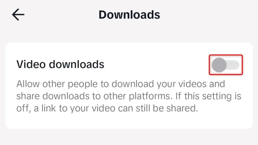 &lsquo;Video Downloads&rsquo; highlighted on the &lsquo;Downloads&rsquo; screen in TikTok&rsquo;s mobile app.