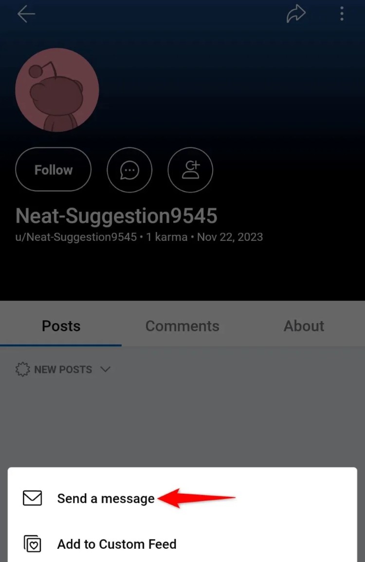 &lsquo;Send a Message&rsquo; highlighted on a user&rsquo;s profile page in Reddit for mobile.