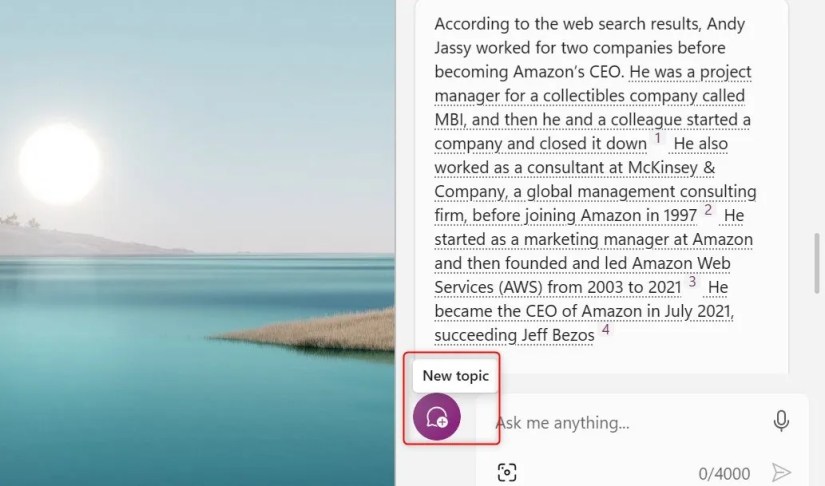 Windows Copilot response to a follow up question on Amazon&rsquo;s CEO