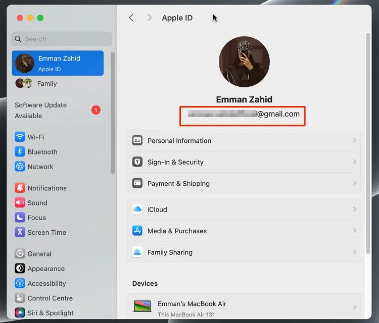 Apple ID section in the System Settings.