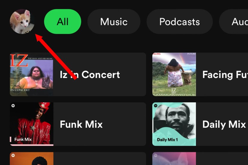 Opening the user profile sidebar in Spotify&rsquo;s mobile app.