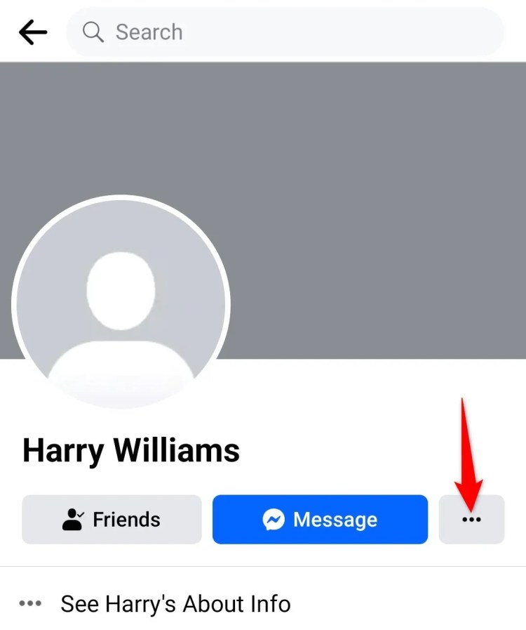 Three-dot menu highlighted on a profile page in Facebook&rsquo;s mobile app.