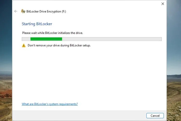 Window showing the startup sequence for BitLocker Drive Encryption