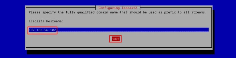 Terminal window asking for your address for Icecast on Debian