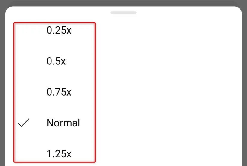 Playback speed options highlighted in YouTube video settings.