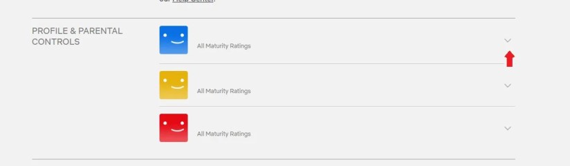 The &lsquo;Profile &amp; Parental Controls&rsquo; settings in Netflix.