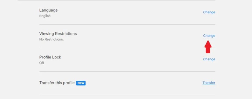 The button to change your &lsquo;Viewing Restrictions&rsquo; in Netflix.