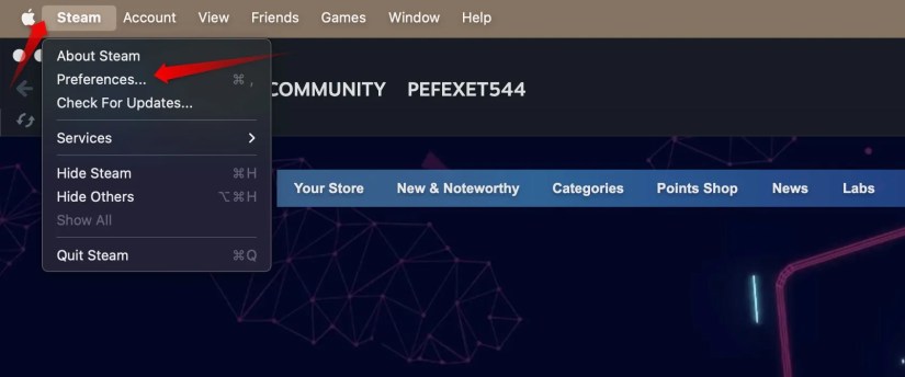 Steam preferences in the Steam client for macOS.