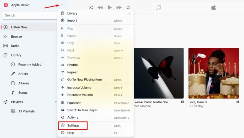 Settings option in Apple Music Windows.