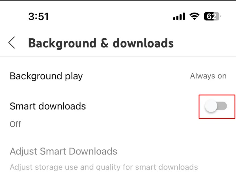 Smart downloads toggle on YouTube.