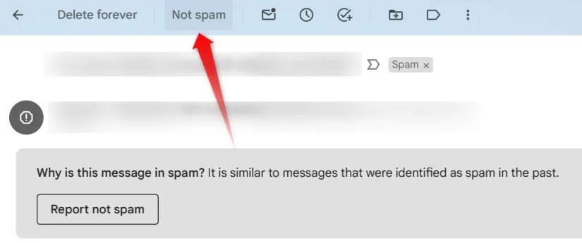 Marking an email as &lsquo;Not Spam&rsquo; in Gmail.