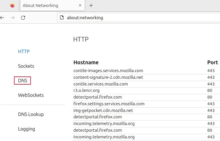 Selecting the DNS option in the Firefox sidebar