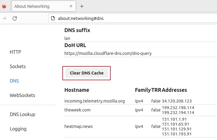 The Clear DNS Cache button on Firefox