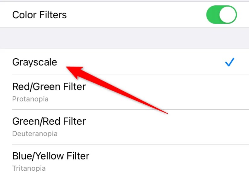 Setting &lsquo;Grayscale&rsquo; mode in the color filters section of the iPhone Accessibility menu.
