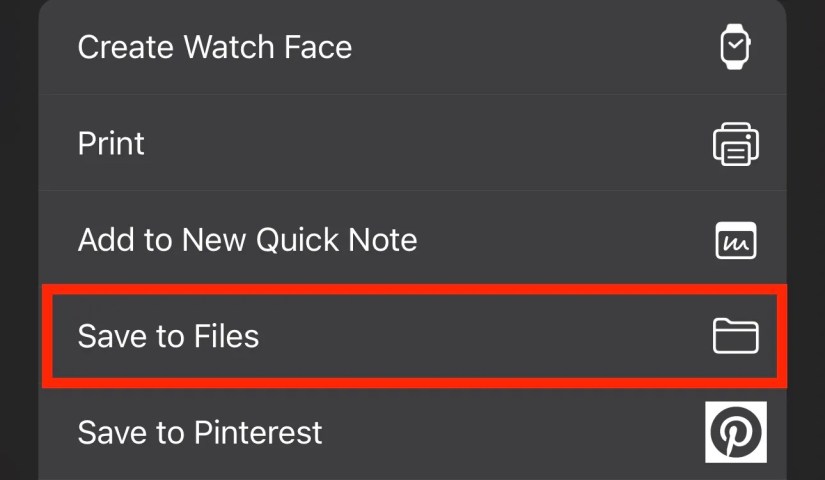 Save to Files option in iPhone Photos app&rsquo;s Share menu.