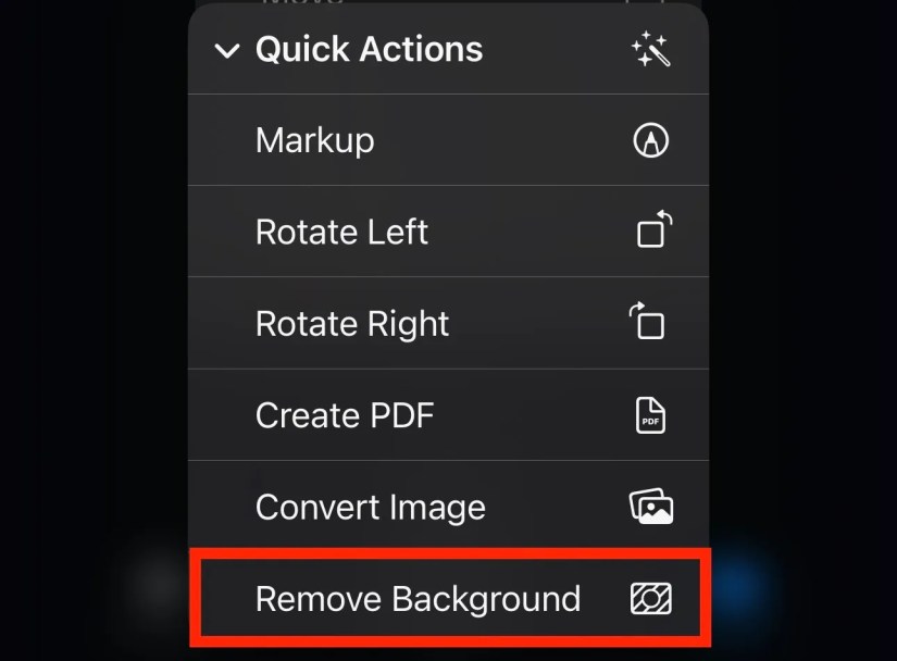Using the Remove Background Quick Action on an image in iPhone&rsquo;s Files app.