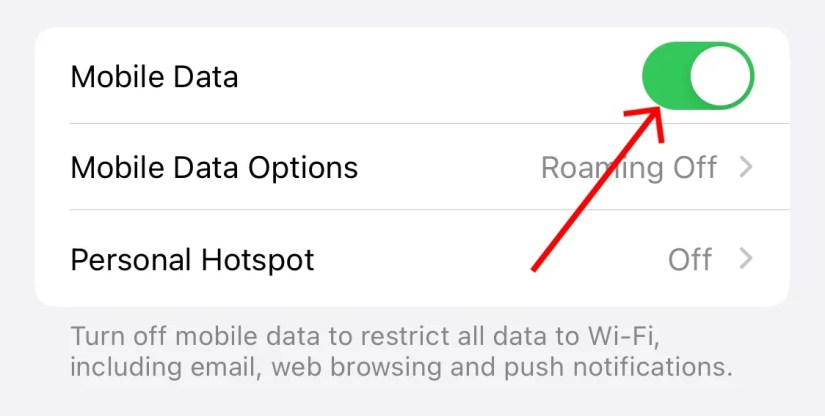 Turn off &lsquo;Mobile Data&rsquo; in your iPhone settings..