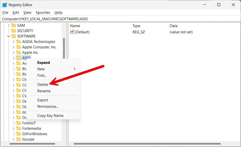 Deleting a registry key on Windows.