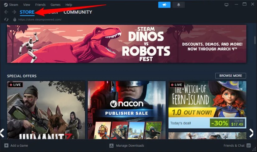 The Steam Store page.