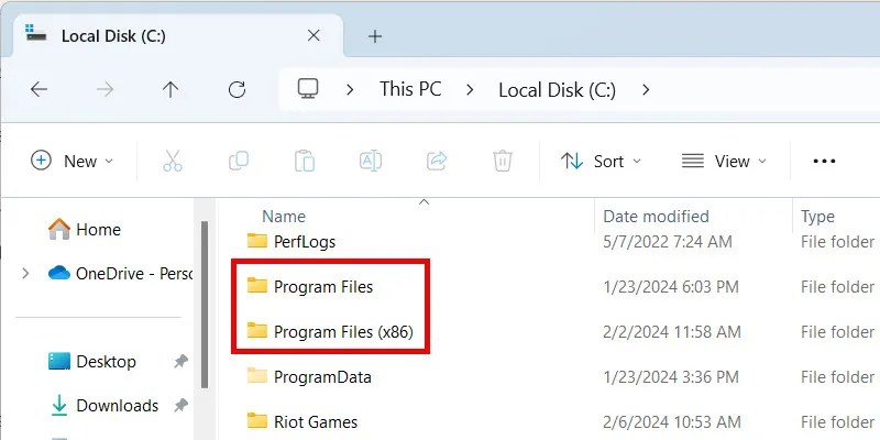The &lsquo;Program Files&rsquo; and &lsquo;Program Files (x86)&rsquo; folders on Windows.