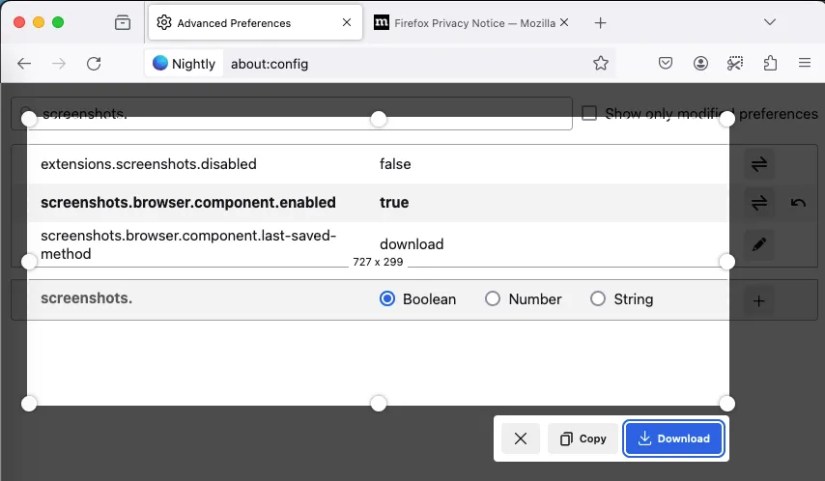 Screenshot of taking a screenshot in Firefox