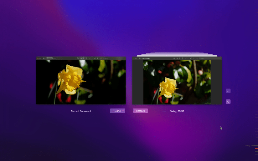 Revert to an earlier saved version of an image in Preview.