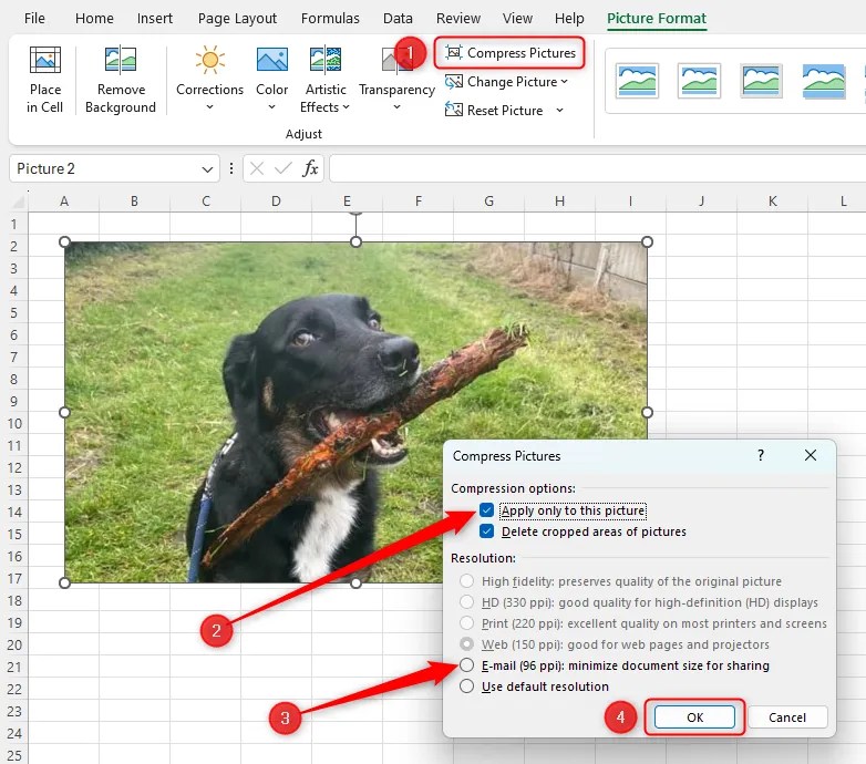 An Excel worksheet with an image inserted and the Compress Pictures dialog box open. In the dialog box, &lsquo;Apply Only To This Picture&rsquo; is checked and the &lsquo;Email (96 ppi)&rsquo; option is highlighted. Finally, the &lsquo;OK&rsquo; button is selected.