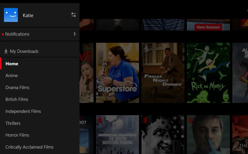 Screenshot of the Netflix options menu on the desktop app.