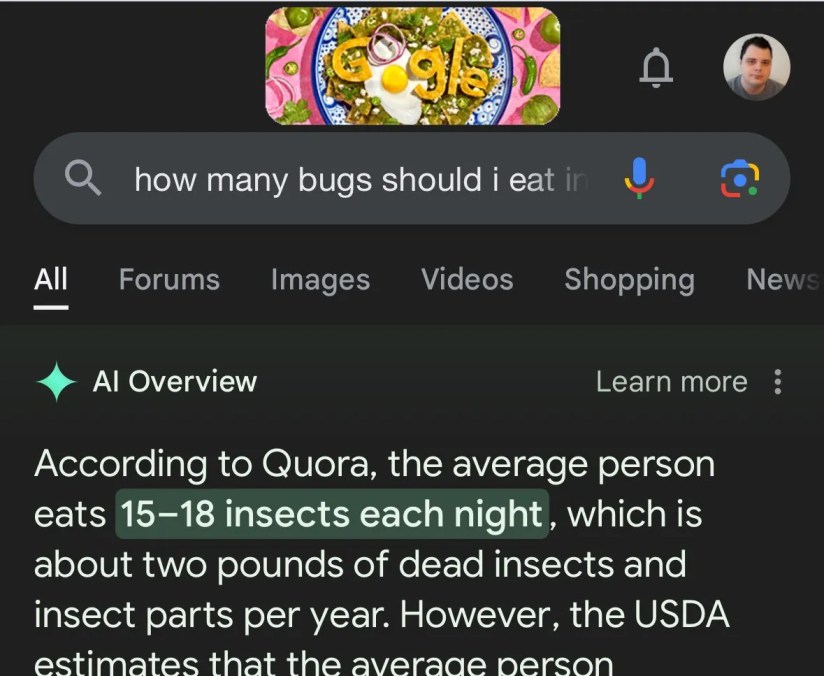 Google search for &lsquo;How many bugs shoud I eat in a day&rsquo; with the answer &lsquo;According to Quora, the average person eats 15-18 insects each night, which is about two pounds of dead insects and insect parts per year.'