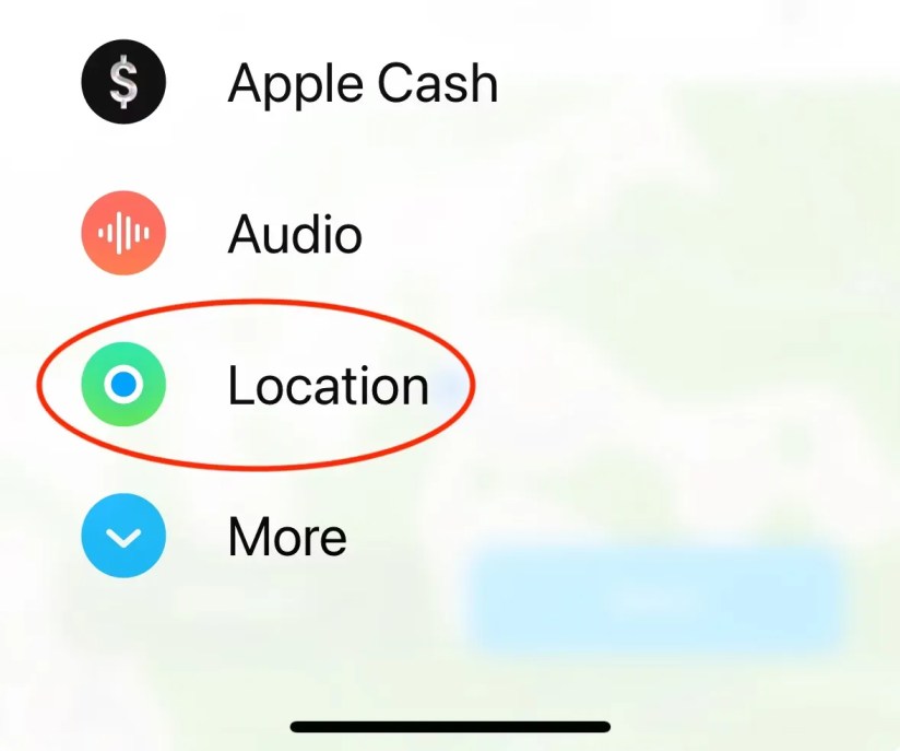 iMessage options menu with &lsquo;Location&rsquo; circled.