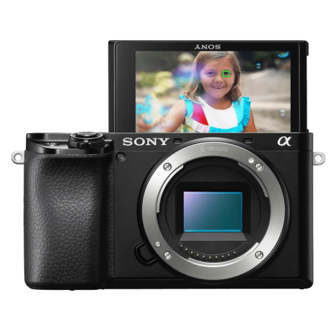 Sony a6100-1