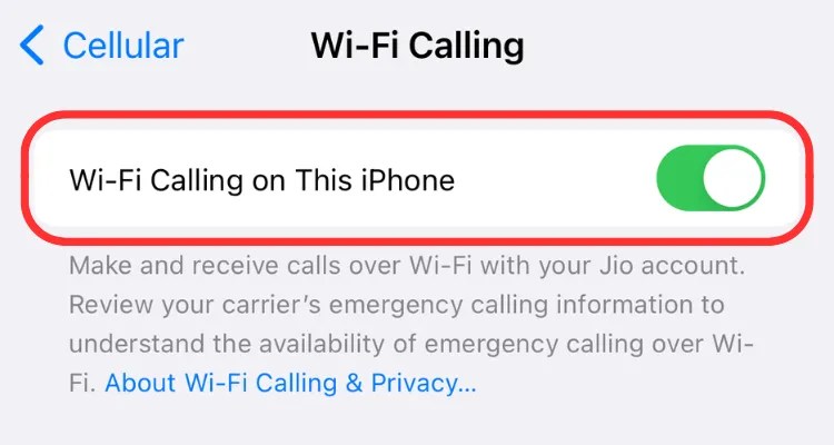 Wi-Fi calling toggle on iPhone.