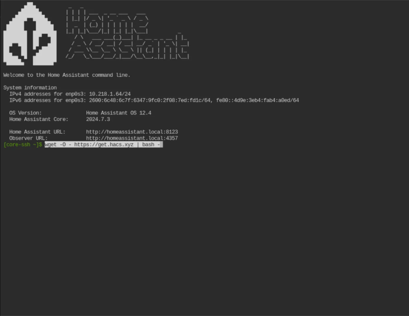 Home Assistant terminal.