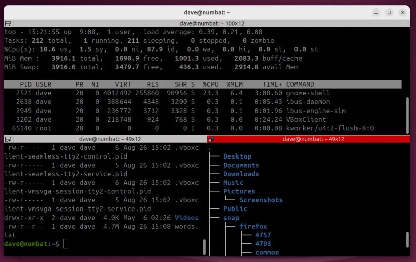 The Terminator terminal emulator with three terminal windows open.